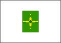 federaldistricto-flag.gif